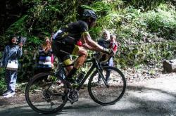 pg模拟器官网下载包含凯恩赛事官方发布败北新规，美国队争议不断！的词条