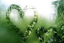 pg模拟器下载亚冠今晚再迎强敌，布莱顿防线松动，主帅态度——球迷炸锅，团队化学反应显著的简单介绍